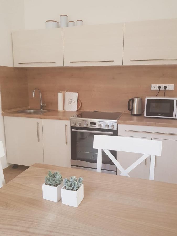 Apartmany U Otavy Сушице Экстерьер фото